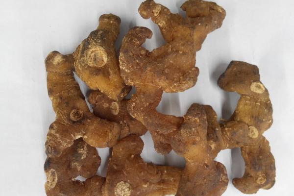 黃精的功效與作用及禁忌 黃精的常用方法