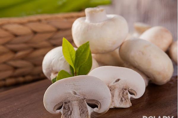 蘑菇圖片大全 蘑菇有哪些種類