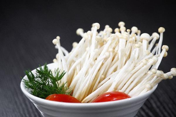 蘑菇圖片大全 蘑菇有哪些種類