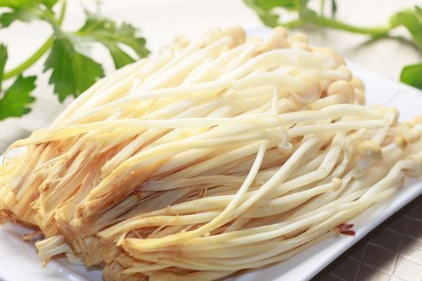金針菇不能和什么一起吃 金針菇有毒嗎