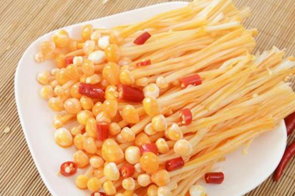 金針菇不能和什么一起吃 金針菇有毒嗎