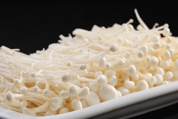 金針菇不能和什么一起吃 金針菇有毒嗎