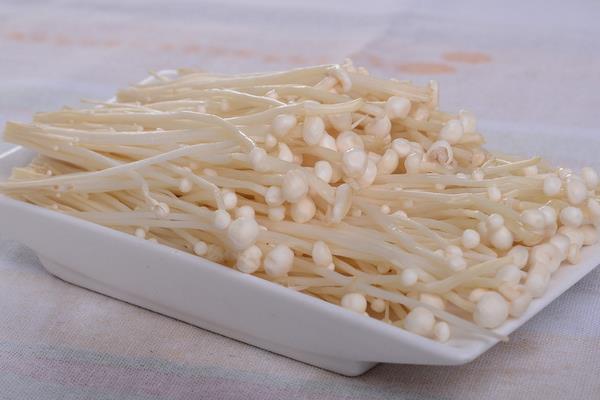 金針菇圖片大全 什么是金針菇