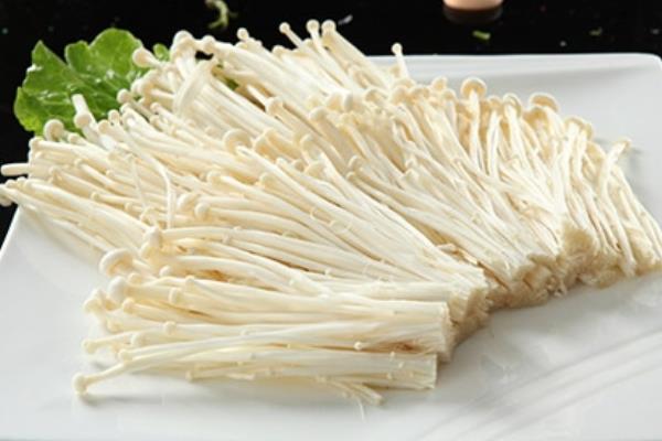 金針菇圖片大全 什么是金針菇