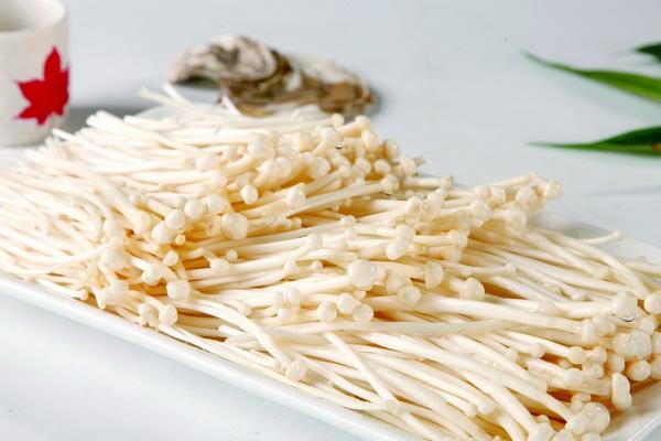 金針菇圖片大全 什么是金針菇