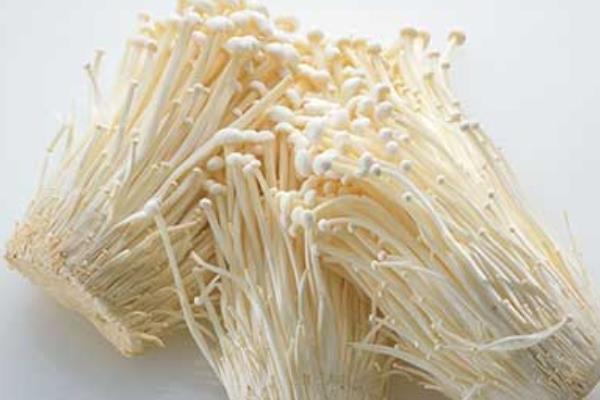 金針菇種植時(shí)間及方法  金針菇出菇期肥水管理技術(shù)