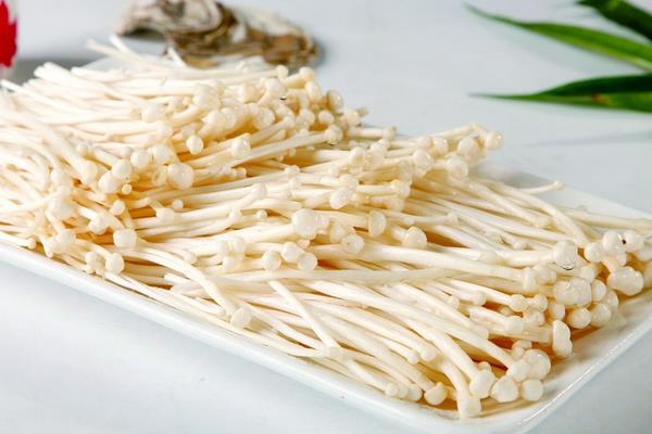 金針菇功效與作用及禁忌 金針菇營養價值