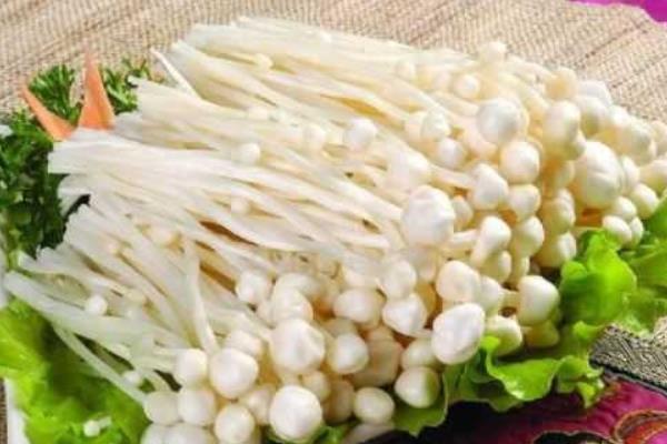 金針菇功效與作用及禁忌 金針菇營養價值