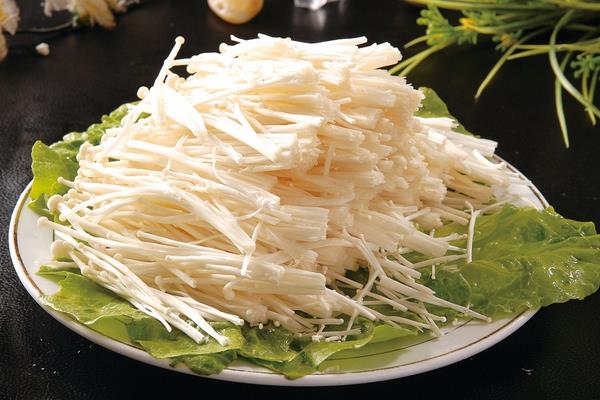 金針菇功效與作用及禁忌 金針菇營養價值