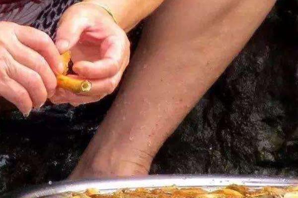 蘑菇怎么洗干凈  蘑菇的營養成分和價值