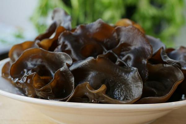痛風能吃黑木耳嗎 黑木耳食用禁忌