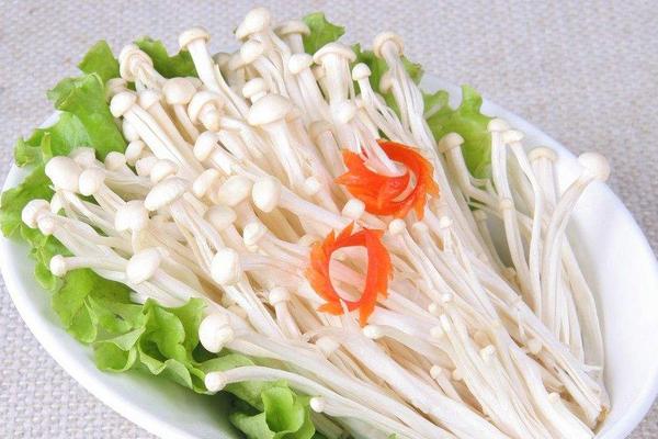 金針菇熱量是多少 金針菇的功效作用