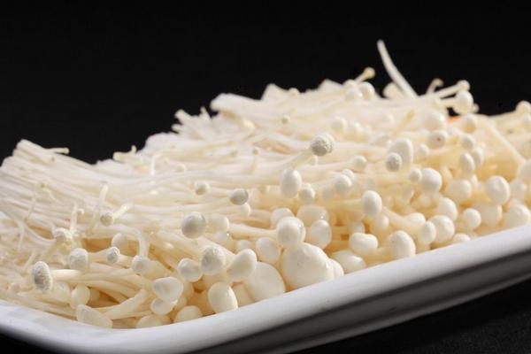 金針菇市場(chǎng)價(jià)格多少錢一斤 金針菇的營(yíng)養(yǎng)價(jià)值