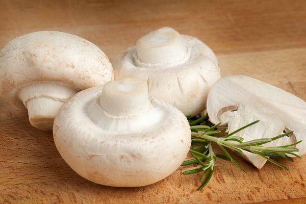 蘑菇的根能吃嗎 吃蘑菇的注意事項(xiàng)