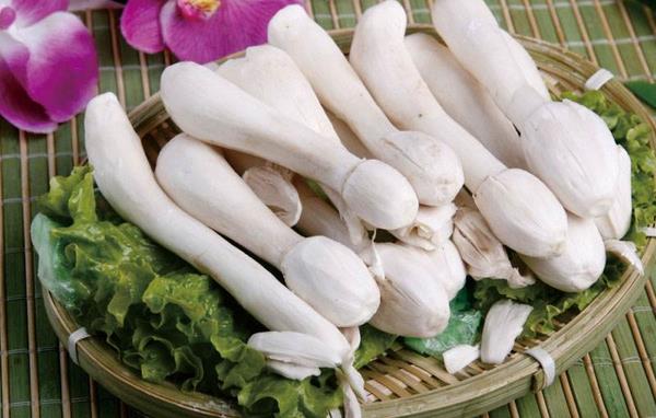 雞腿菇市場價格多少錢一斤 雞腿菇的保存方法