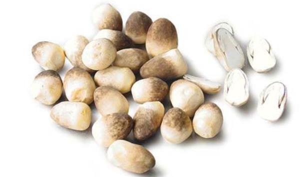 草菇市場(chǎng)價(jià)格多少錢一斤 草菇的挑選