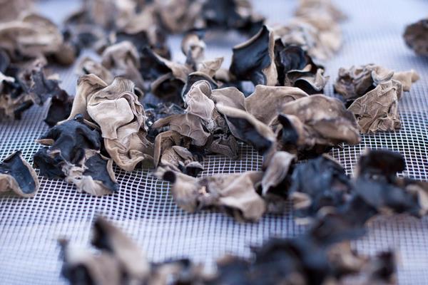 黑木耳的功效與作用及禁忌 黑木耳營養價值