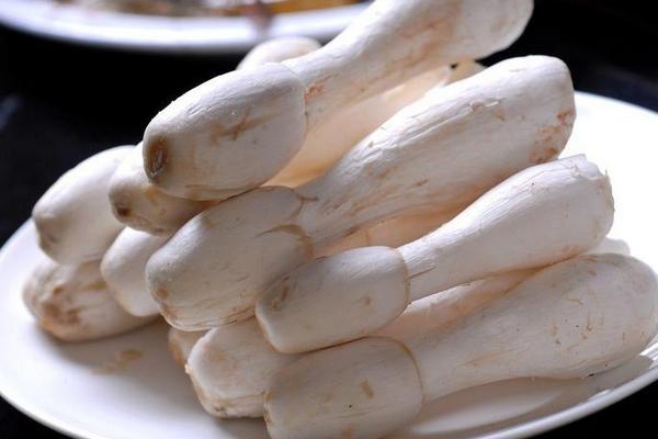 雞腿菇的功效與作用及禁忌 雞腿菇營養(yǎng)價(jià)值