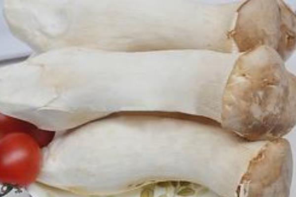 椒鹽杏鮑菇的做法 杏鮑菇的營養價值