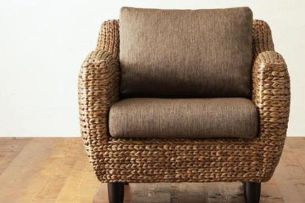 水葫蘆圖片大全 水葫蘆的特點