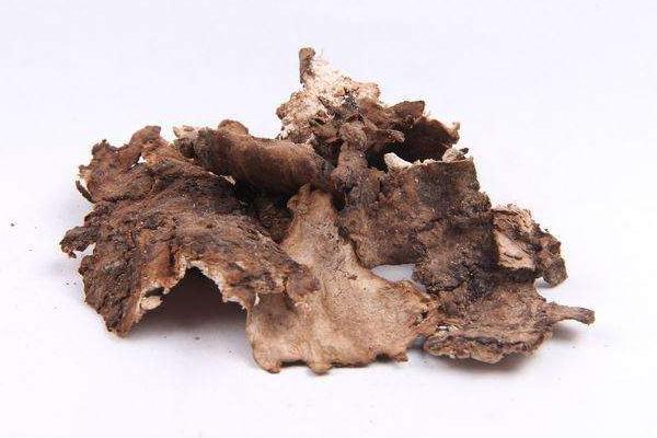 茯苓皮的功效與作用及禁忌 茯苓皮的食用方法