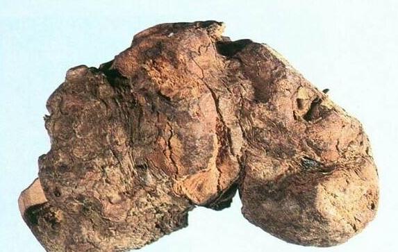 茯苓皮的功效與作用及禁忌 茯苓皮的食用方法