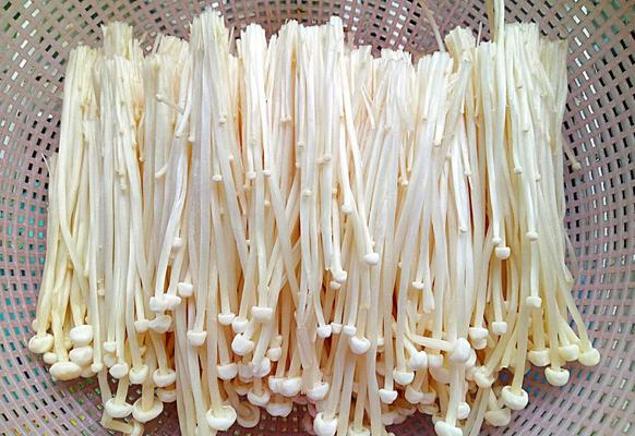 涼拌金針菇正宗做法 涼拌金針菇怎么做簡單又好吃