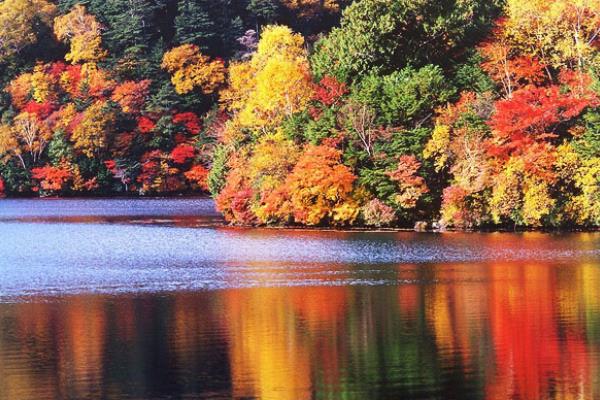 適合秋季旅游的地方有哪些 國內秋季自駕游好去處