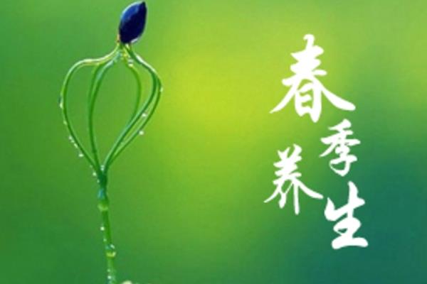 春季養生菜譜大全 春季有哪些水果蔬菜吃