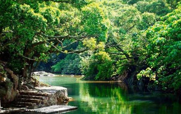 適合春季旅游的地方有哪些 國內春季自駕游好去處