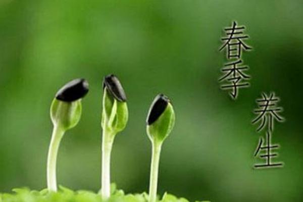 春季養肝吃什么好 為什么春季養肝 養肝護肝的五大食物