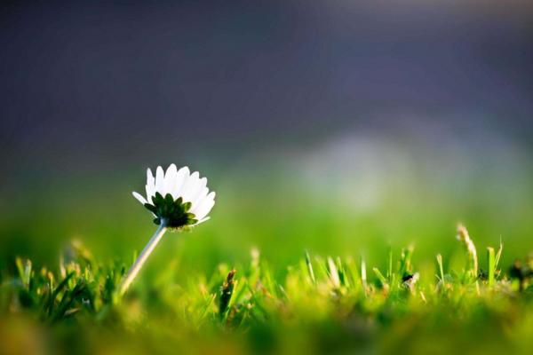 春天是什么時候 初春和早春哪個早,四月是春天還是夏天