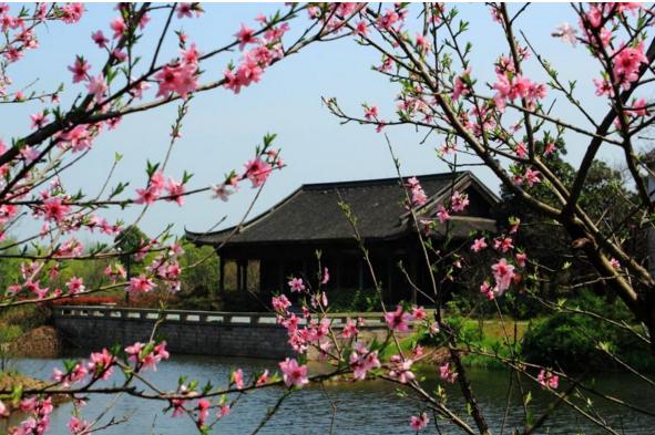 春天是什么時候 初春和早春哪個早,四月是春天還是夏天