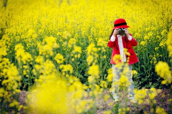 春天是什么時候 初春和早春哪個早,四月是春天還是夏天