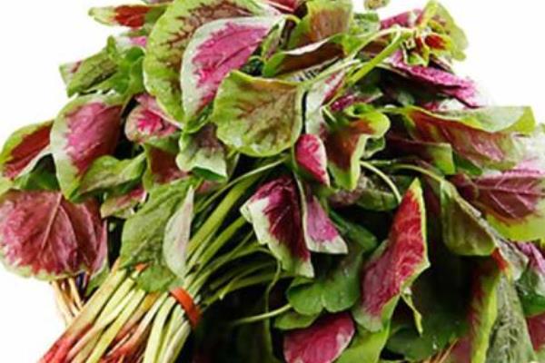 夏天吃什么菜對身體好 夏天吃什么降火解暑