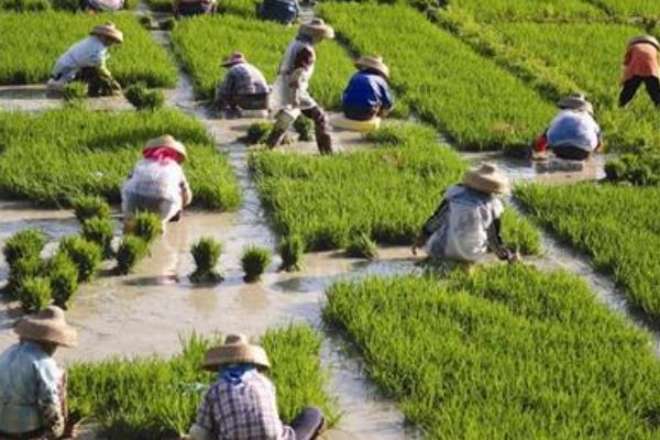 春天有什么特點及好處 春天相對于其它季節有哪些變化