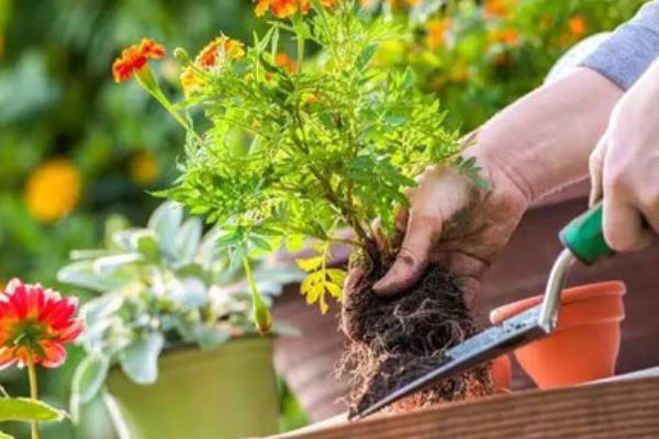 春天有什么特點及好處 春天相對于其它季節有哪些變化