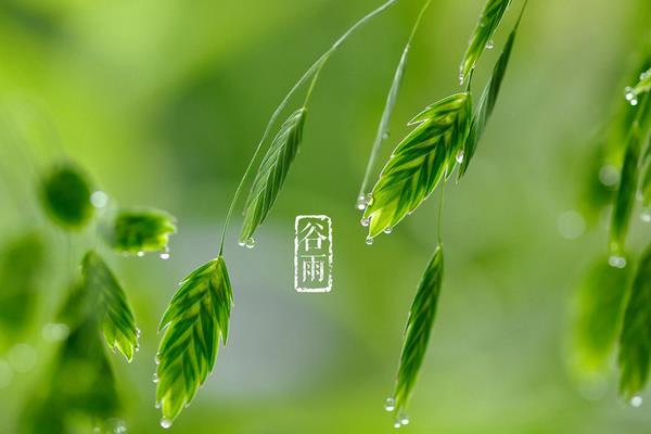 春天有什么特點及好處 春天相對于其它季節有哪些變化