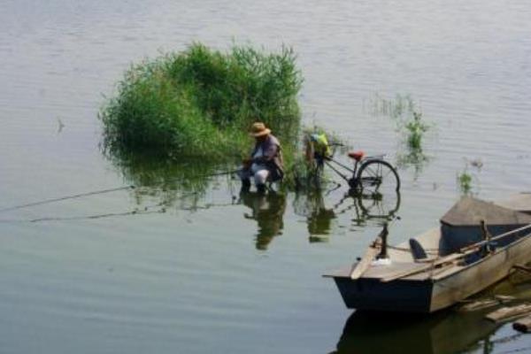 夏季釣魚技巧（南方、北方） 夏天釣魚用什么餌