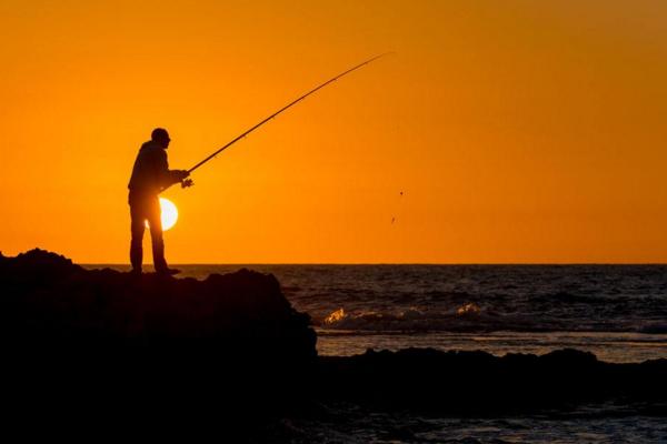 秋季釣魚技巧(南方、北方) 秋天釣魚用什么餌