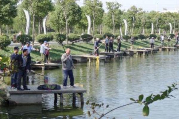 秋季釣魚技巧(南方、北方) 秋天釣魚用什么餌