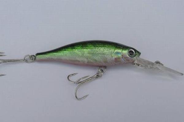 夏季釣魚技巧(南方、北方) 夏天釣魚用什么餌