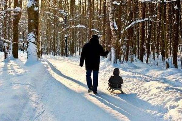 冬季養生茶有哪些 冬天養生茶配方