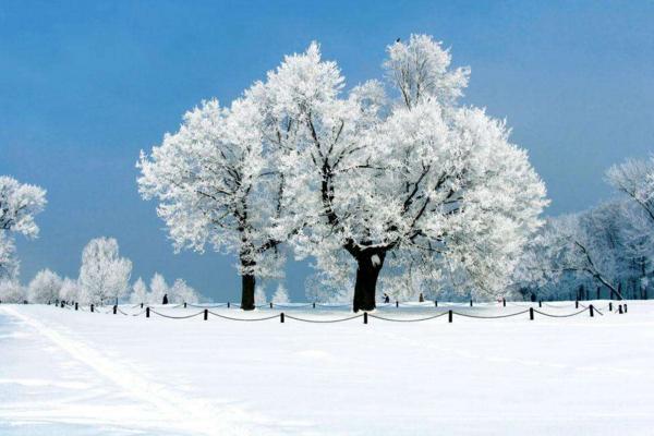 冬天皮膚干怎么辦 冬天嘴唇皮膚干裂解決辦法
