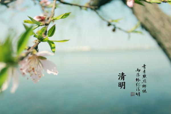 清明節前一天是什么節 清明節前一天可以掃墓嗎