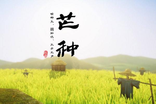 芒種節氣是什么時候（幾月） 芒種有哪些習俗