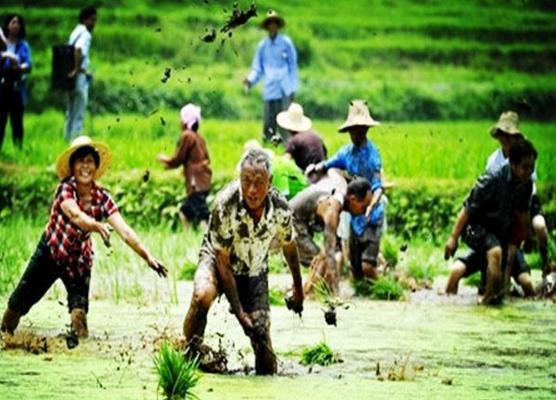 芒種節氣是什么時候(幾月) 芒種有哪些習俗
