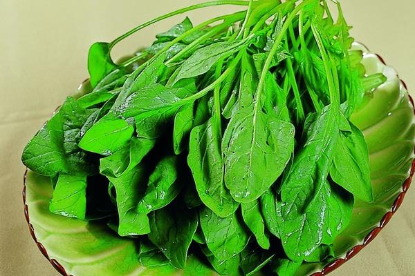 冬天手凍了生凍瘡了怎么辦 冬天怎么防止凍傷