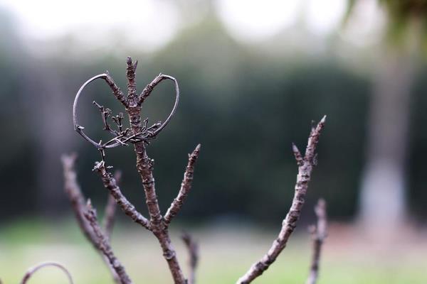 打春是什么意思 什么是立春 年前立春好還是年后立春好