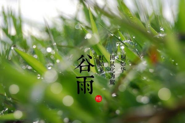 關于谷雨的諺語和詩句有哪些  谷雨的來源
